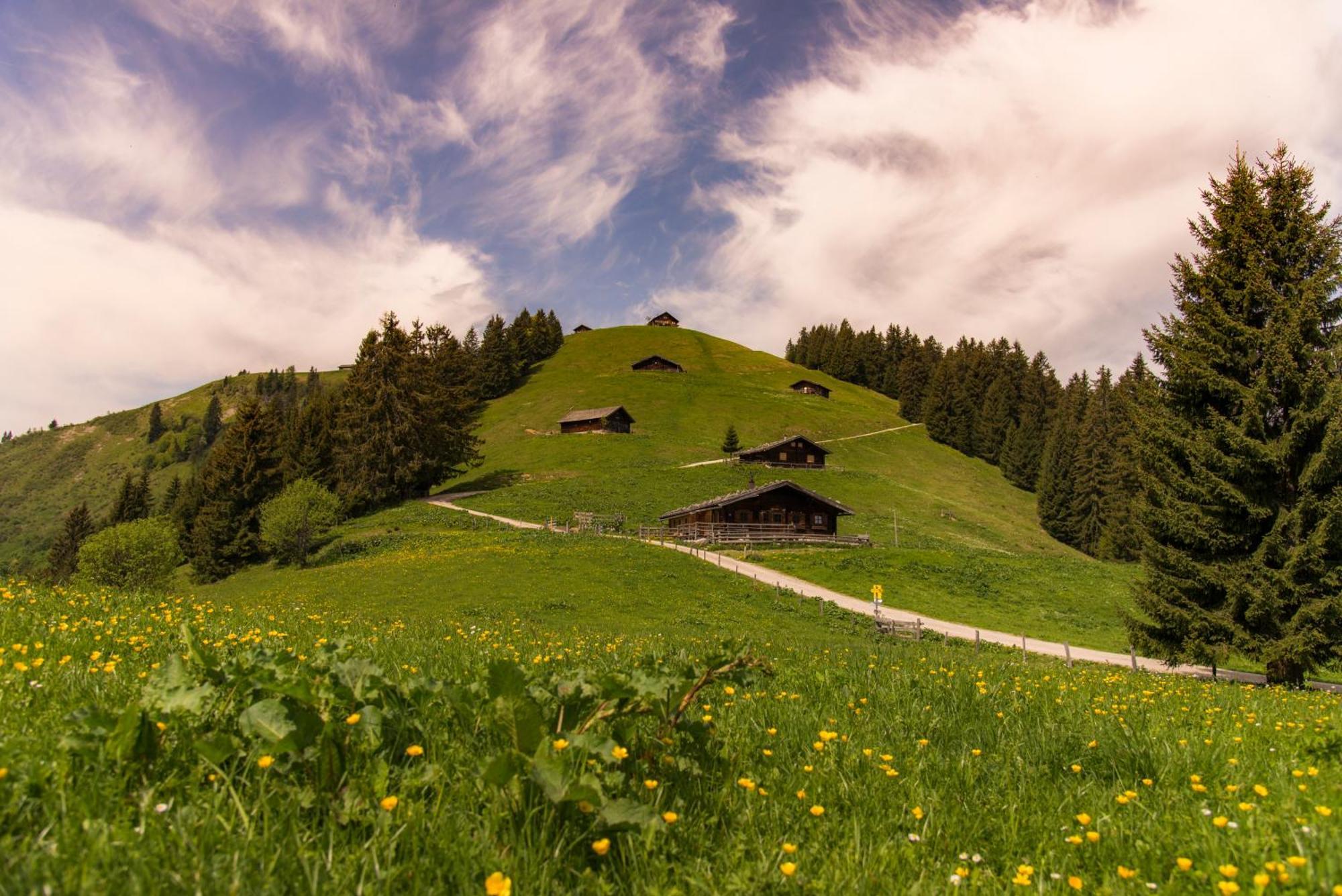 Dorfcafe Unken Hotelpension Swirtshaus Im Dorf Dış mekan fotoğraf