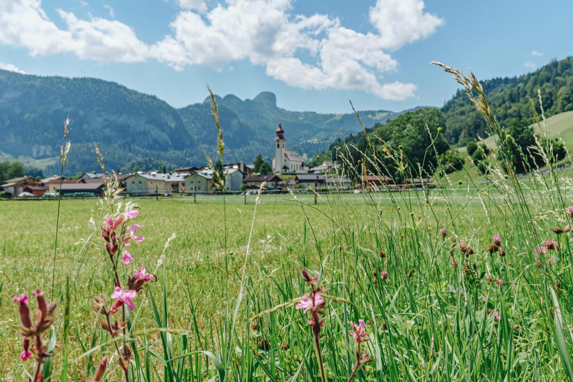 Dorfcafe Unken Hotelpension Swirtshaus Im Dorf Dış mekan fotoğraf